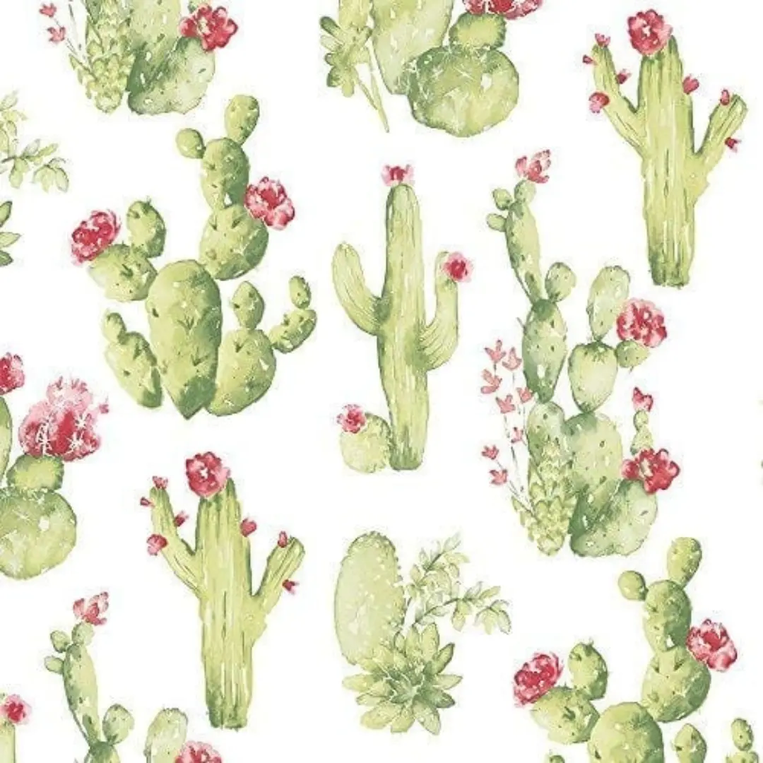 Papel pintado cactus tropical